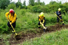 Brandschneise-Schlagen-bei-hohem-Gras